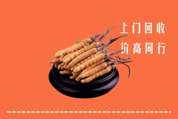 收购行情：叠彩区冬虫夏草回收多少钱每克