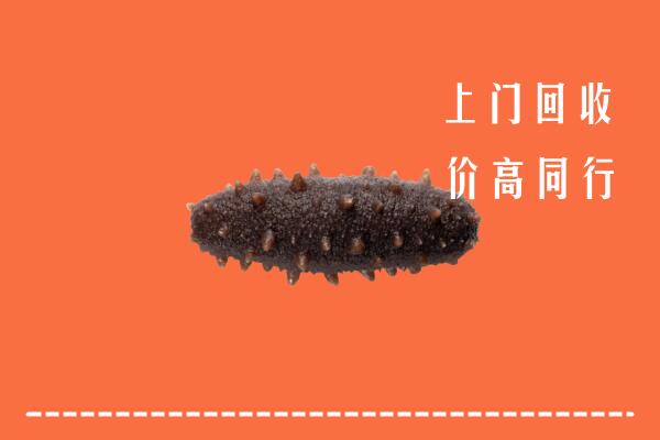 叠彩区回收海参